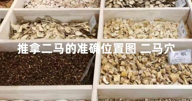 推拿二马的准确位置图 二马穴